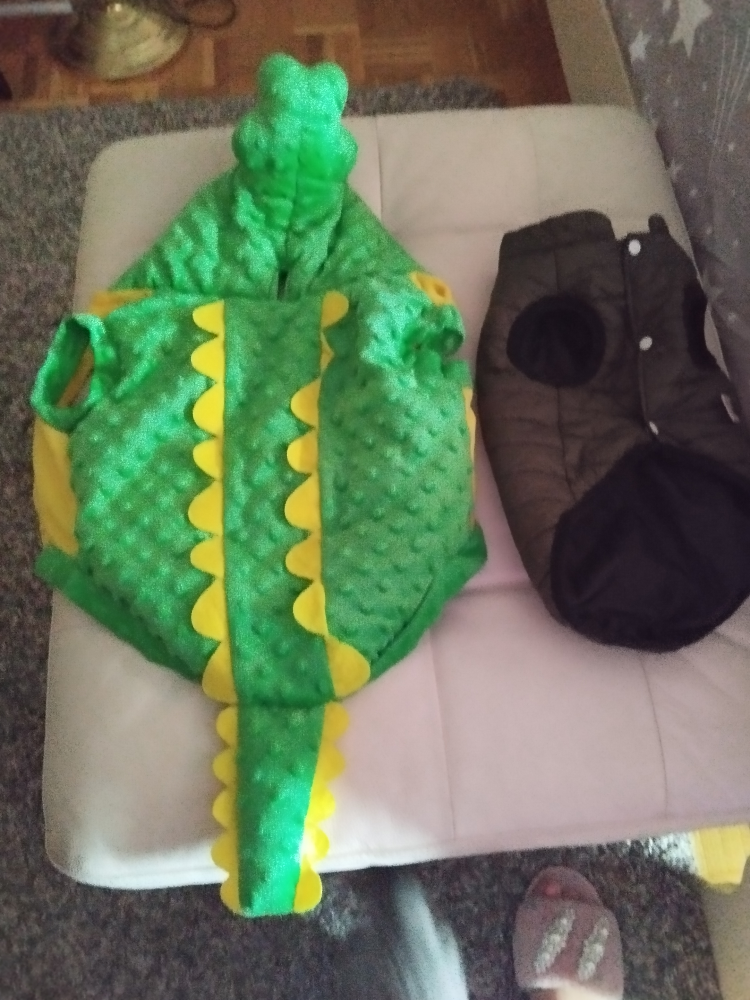 Adorable Dog Costume Set - Dinosaur & Puffer Jacket - photo 2