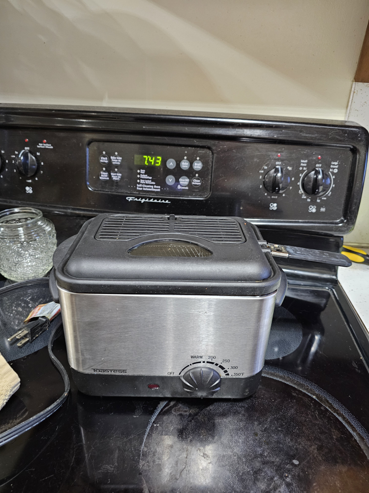 Toastess Deep Fryer