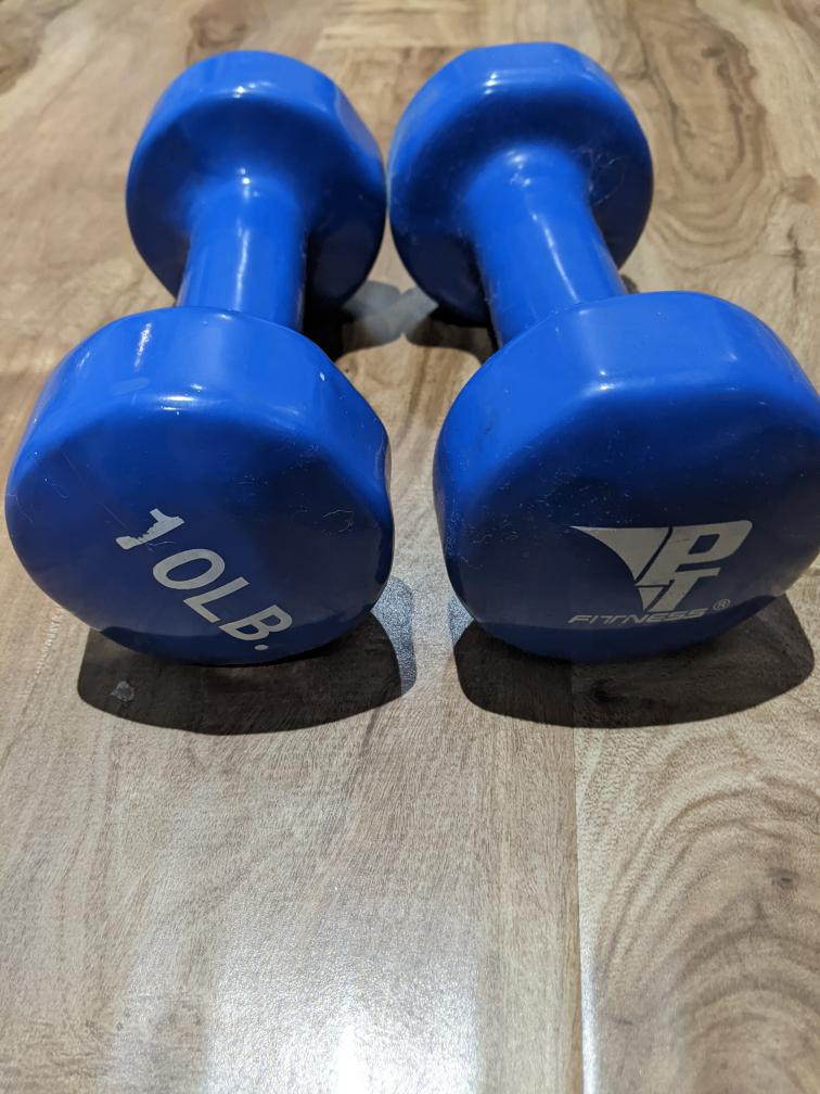 10lb Blue Dumbbells - PT Fitness