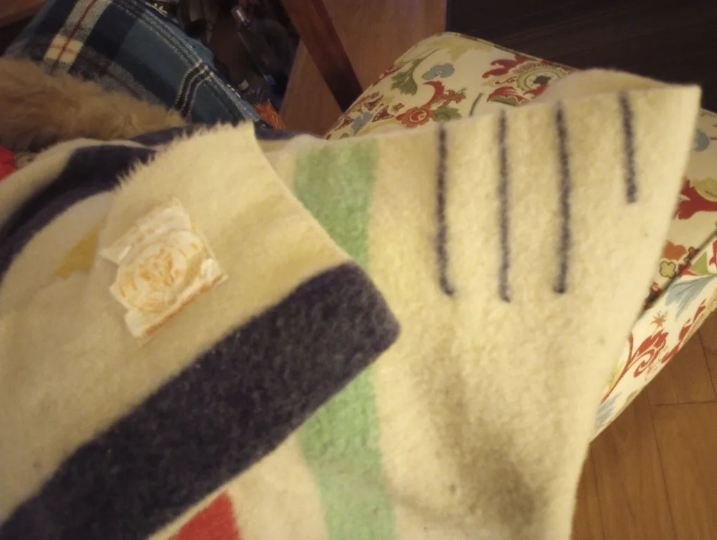 Hudson Bay three and half point blanket image indicator(3)