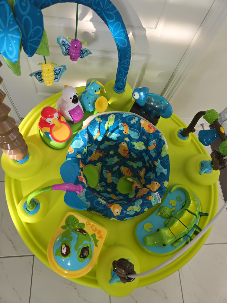 Evenflo safari exersaucer - photo 4