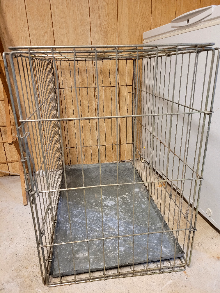 Dog Crate- Large