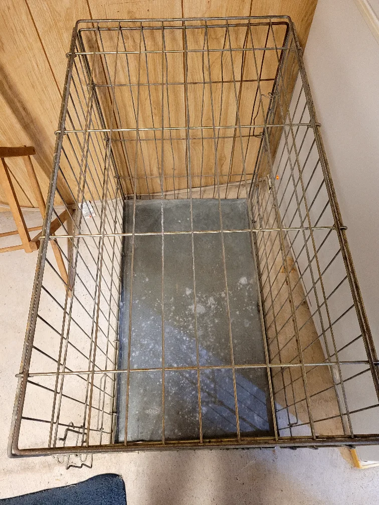 Dog Crate- Large image indicator(2)