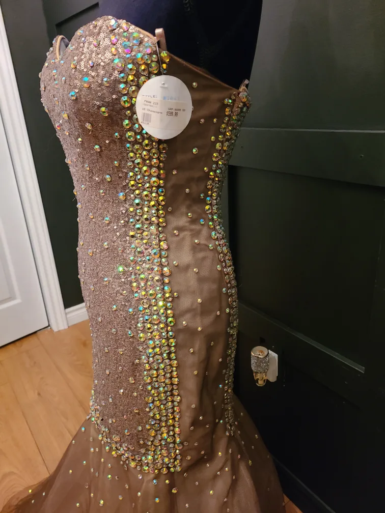 Stunning Sequin Mermaid Gown image indicator(2)