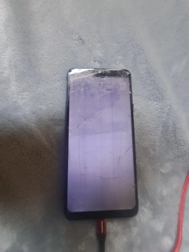 Samsung A20s for parts crackes screen and back camera image indicator(4)