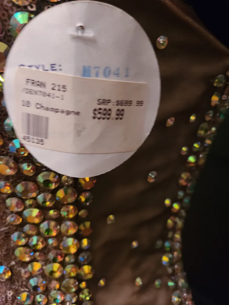 Stunning Sequin Mermaid Gown image indicator(7)