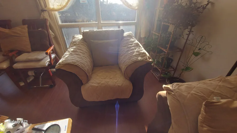 Brown and Beige Sofa Set image indicator(3)