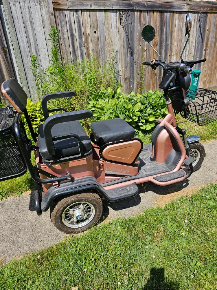 Three-Wheeled Electric Scooter image indicator(2)