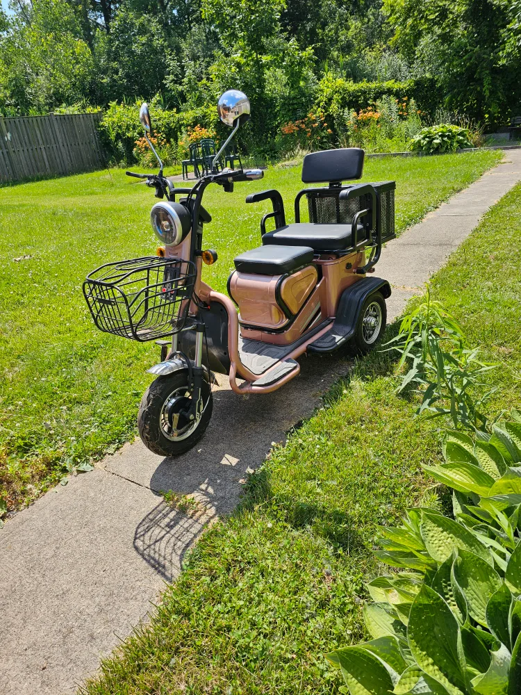 Three-Wheeled Electric Scooter image indicator(3)