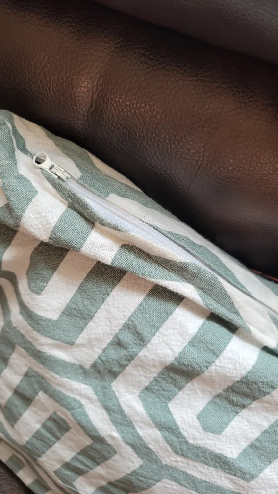 Pair of Decorative Throw Pillows image indicator(2)