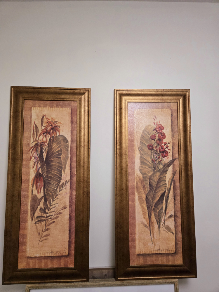 Pair of Framed Botanical Prints 41"×18"