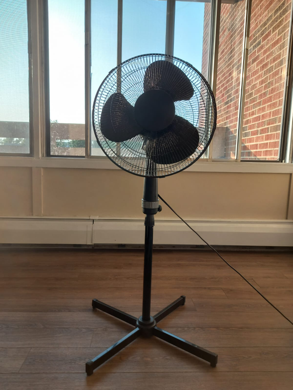 Oscillating Stand Fan