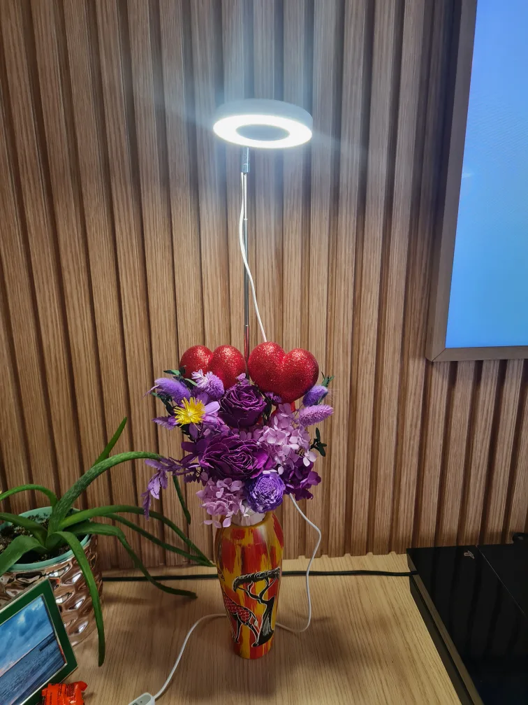 LORDEM Plant Grow Light with Adjustable Stand image indicator(4)