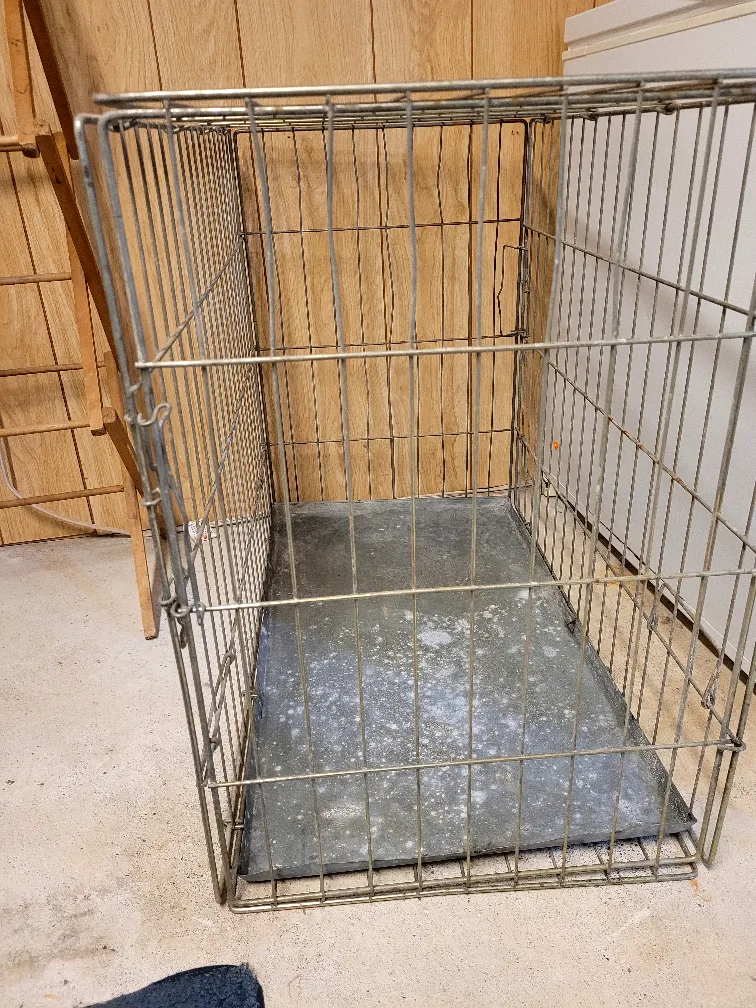 Dog Crate- Large image indicator(3)