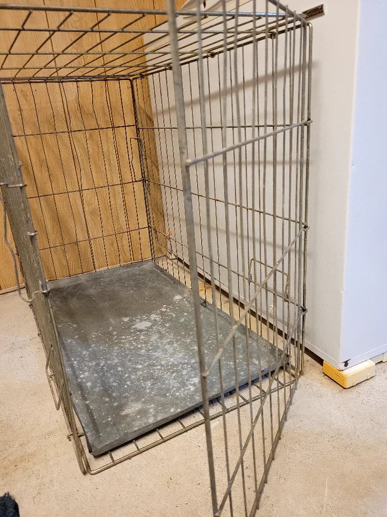 Dog Crate- Large image indicator(5)