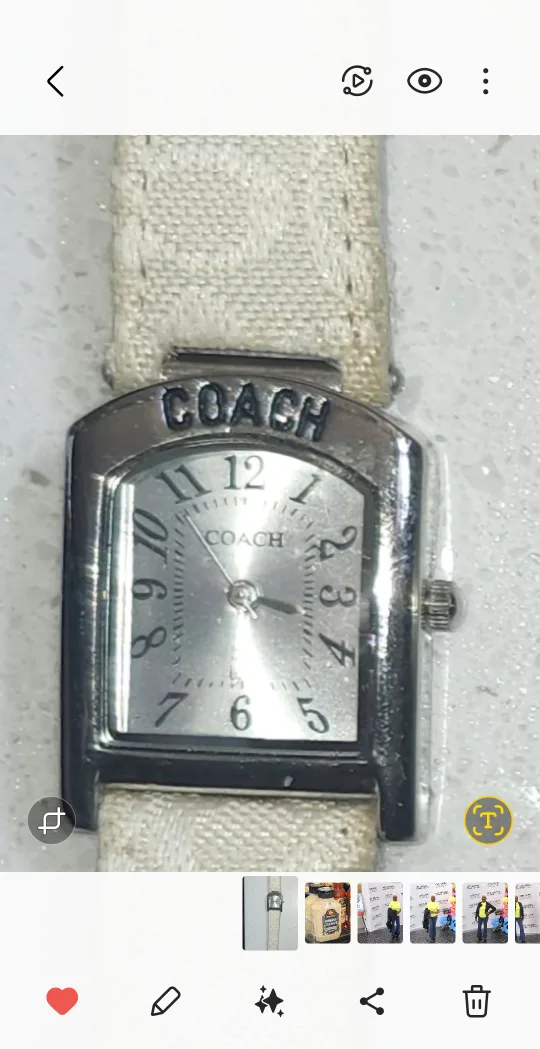 Coach Watch image indicator(2)