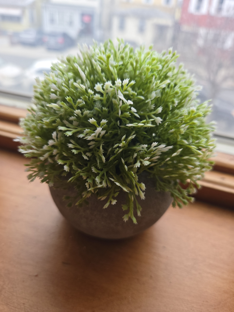 Set of 3 Artificial Potted Plants - photo 3