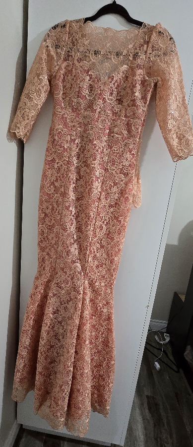 Peach Lace Mermaid Gown