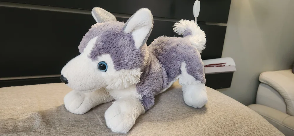 Adorable Plush Husky Dog Toy image indicator(2)