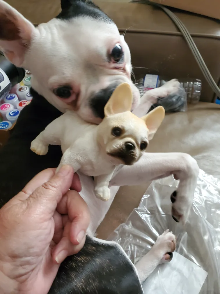 💚Adorable French Bulldog Figurine image indicator(2)