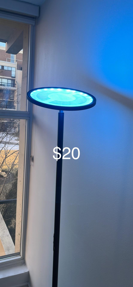 Modern LED Floor Lamp