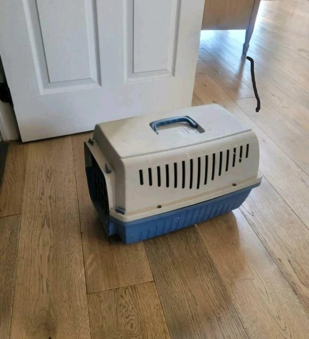 Pet Travel Carrier image indicator(2)