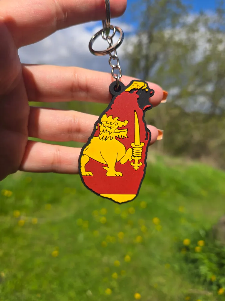 Country Shaped Keychains - Variety Pack image indicator(2)