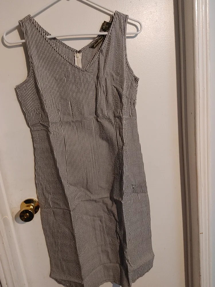 🥕EDDIE BAUER STRIPED DRESS LADIES SIZE 10 PETITE BRAND NEW! image indicator(4)