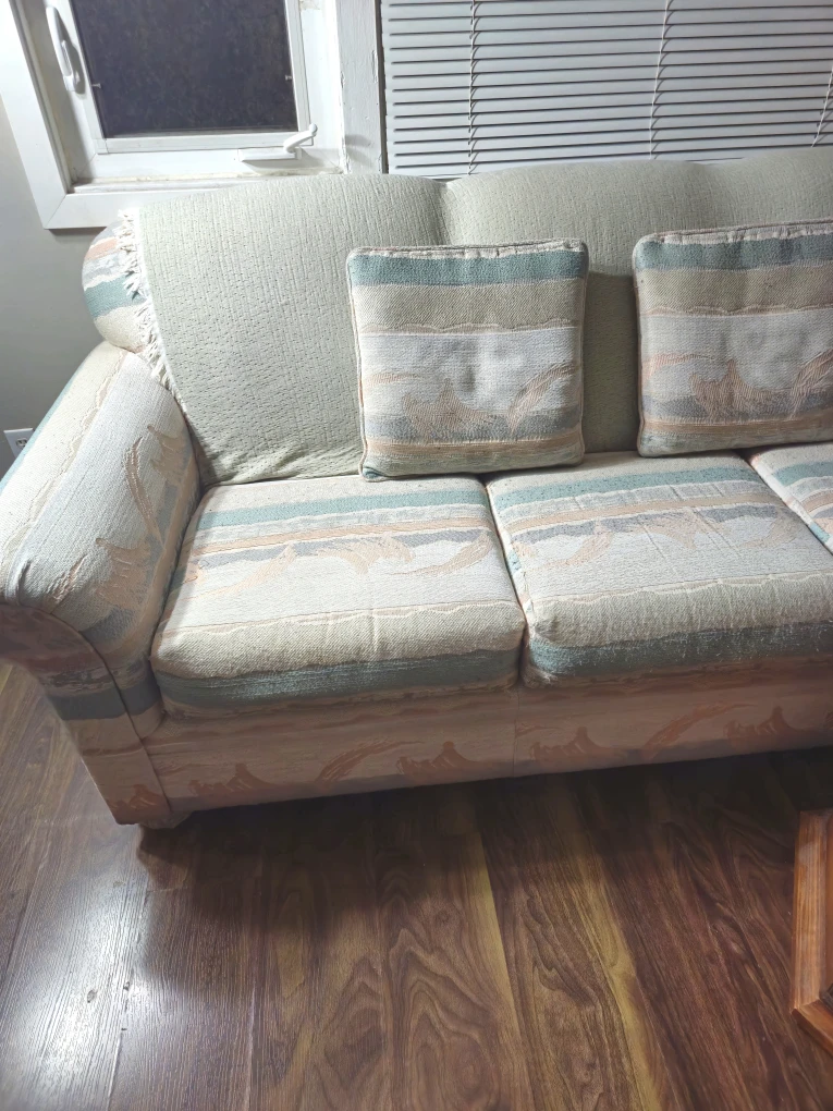 Sofa and Loveseat - 2 piece set - photo 4