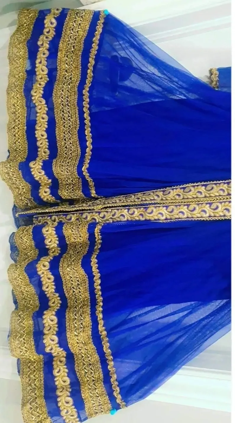 Gorgeous Royal Blue Anarkali Suit image indicator(5)