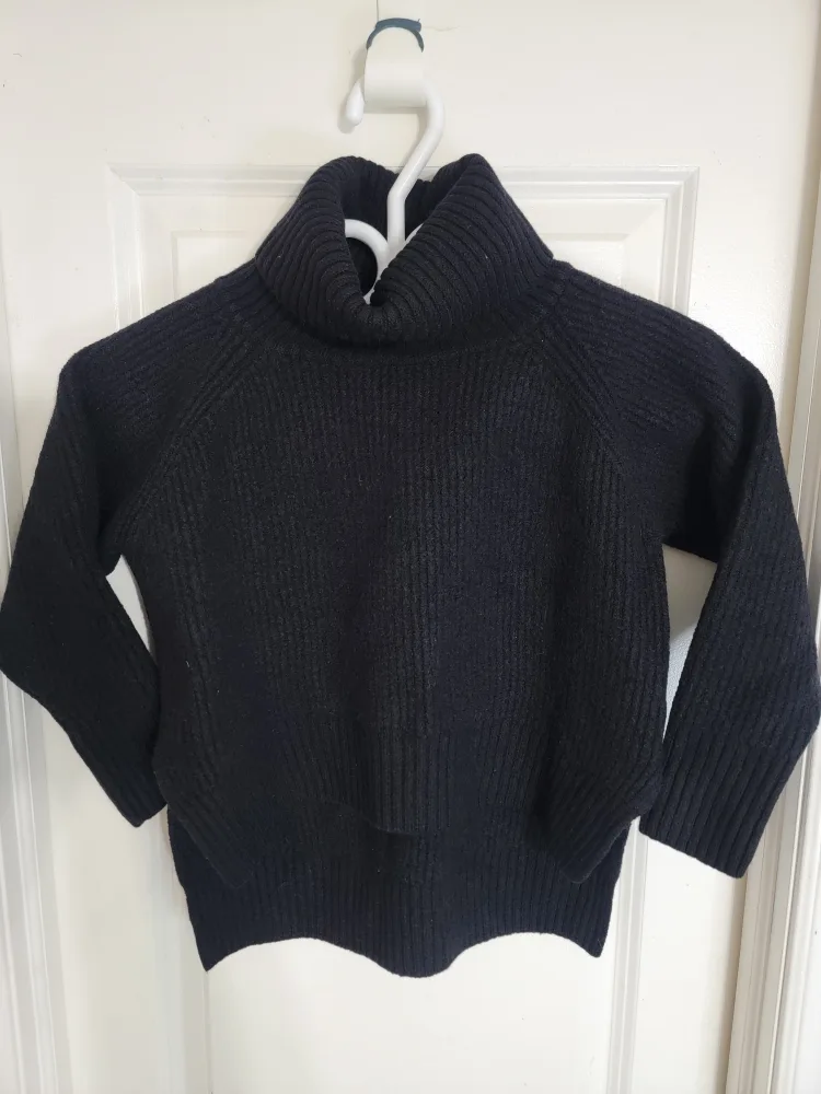 Wilfred Free Black Turtleneck Merino Wool Sweater image indicator(2)