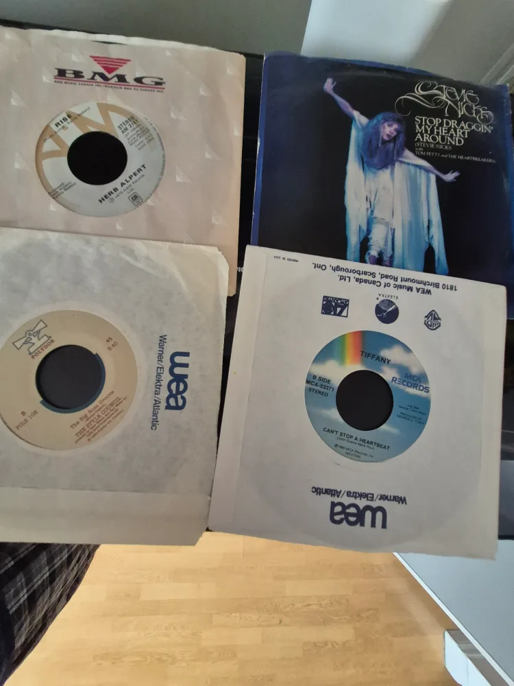 Collection of 45 RPM Vinyl Singles image indicator(5)