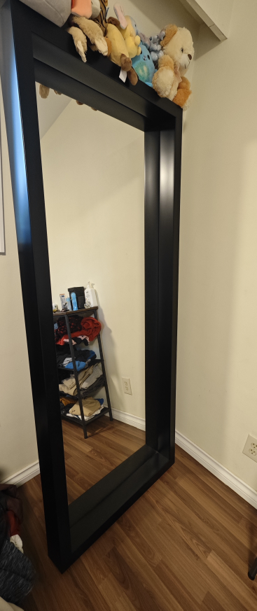 Full-Length Black Framed Mirror - photo 2