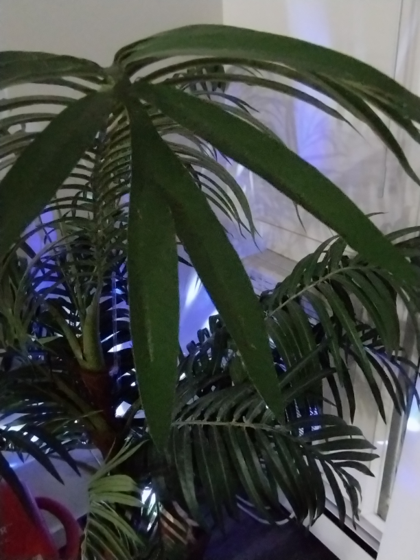 Artificial Areca Palm Plant