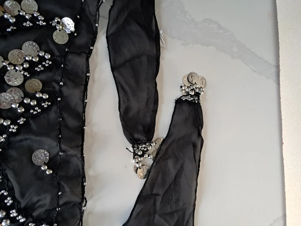 Belly Dance Hip Scarf - Black with Silver Coins image indicator(3)