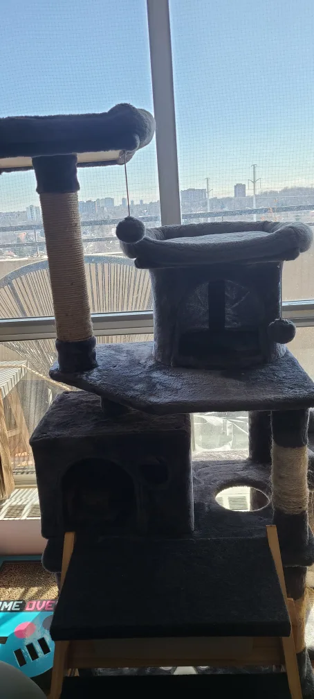 Cat Tree Condo image indicator(3)