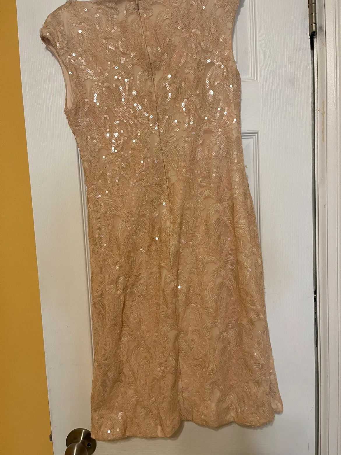 Champagne Sequin Cocktail Dress image indicator(3)