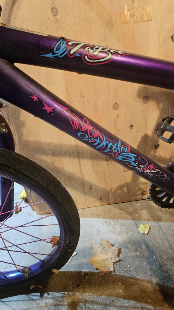 Girls Kent Tahoe 20" Bike Purple