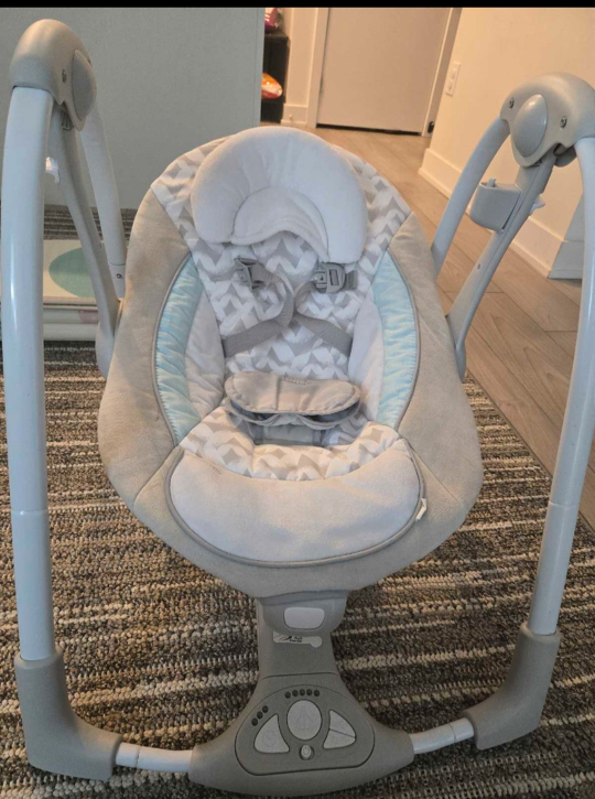 Ingenuity Baby Swing - photo 4