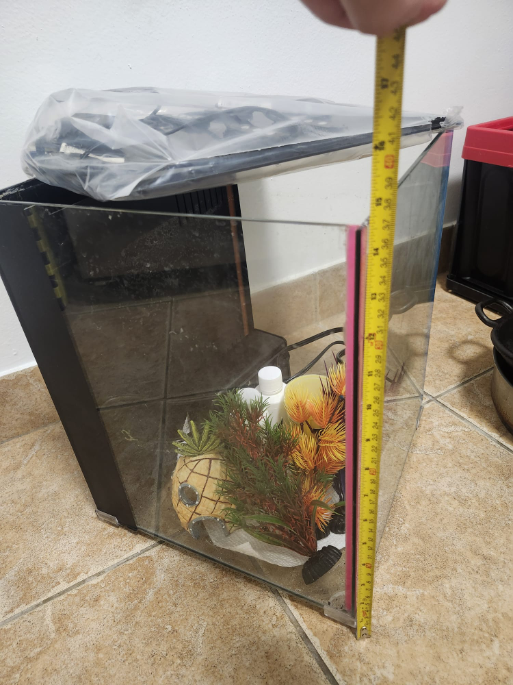 Small Fish Tank with Accessories - photo 2