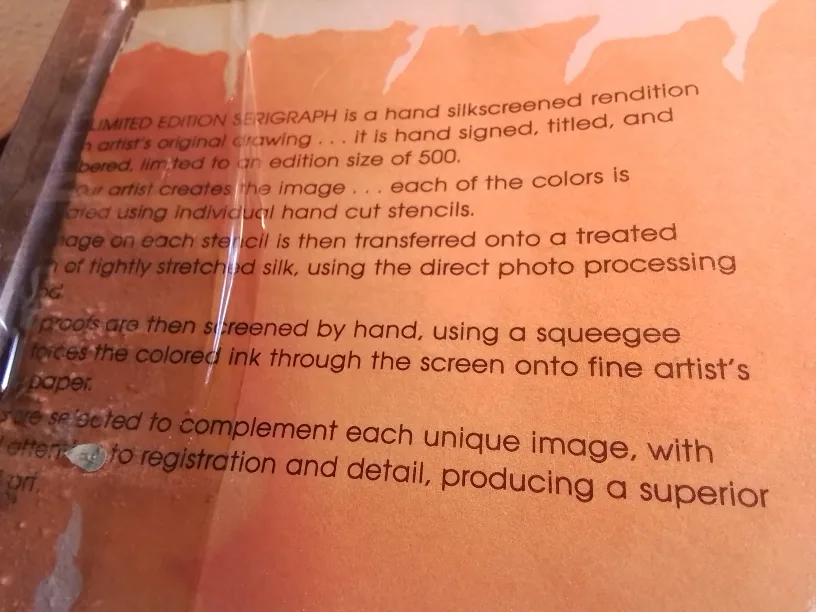 Serigraph on Paper Signed Ricardo Calero 267/500 image indicator(10)