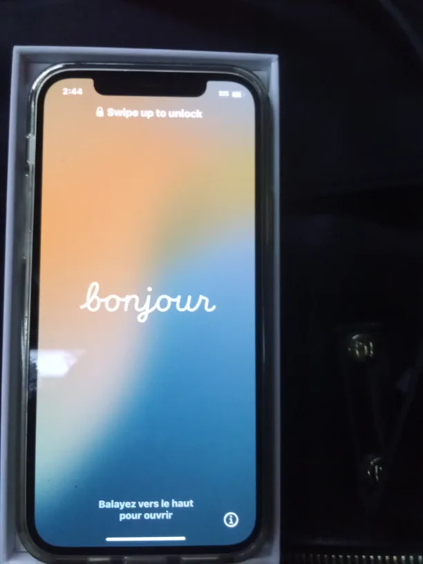 iPhone 12  black image indicator(2)