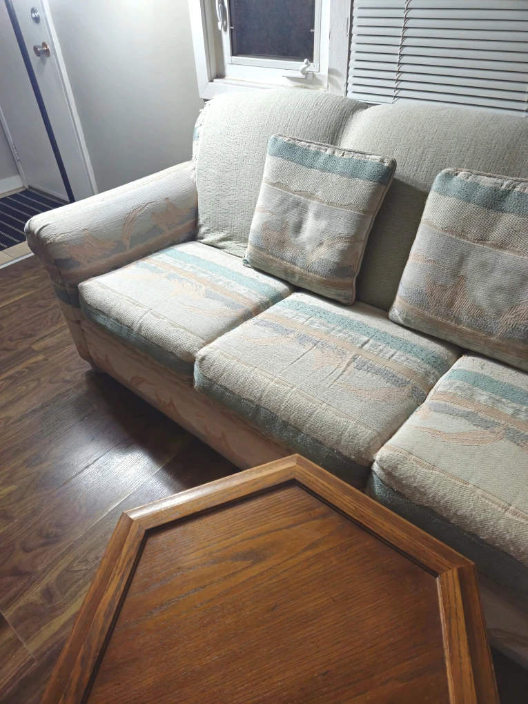 Sofa and Loveseat - 2 piece set - photo 3
