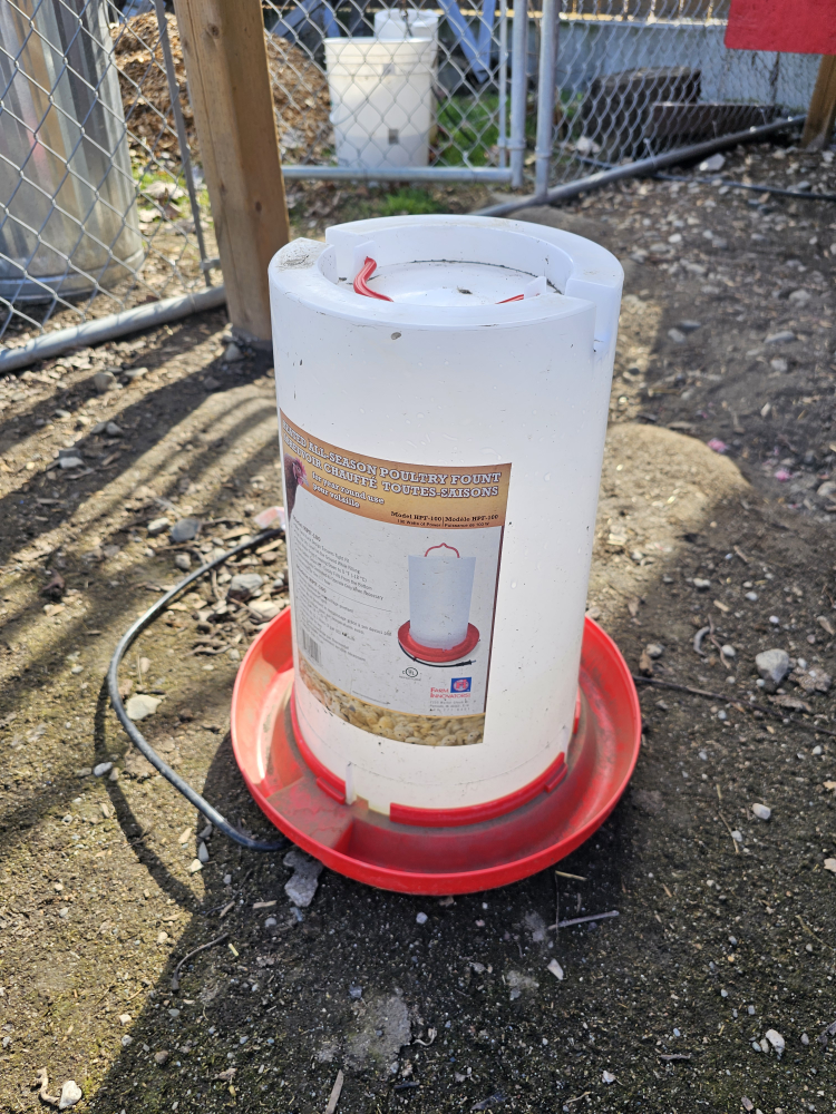 Heated Poultry water dish