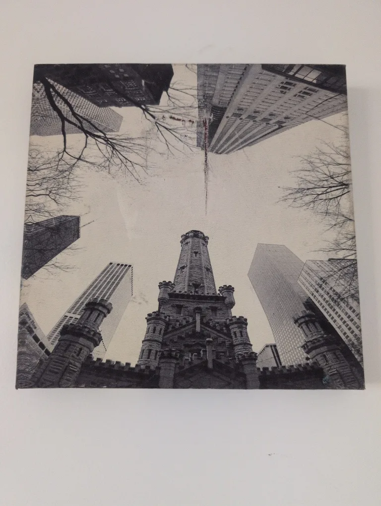 Chicago Cityscape Canvas Print