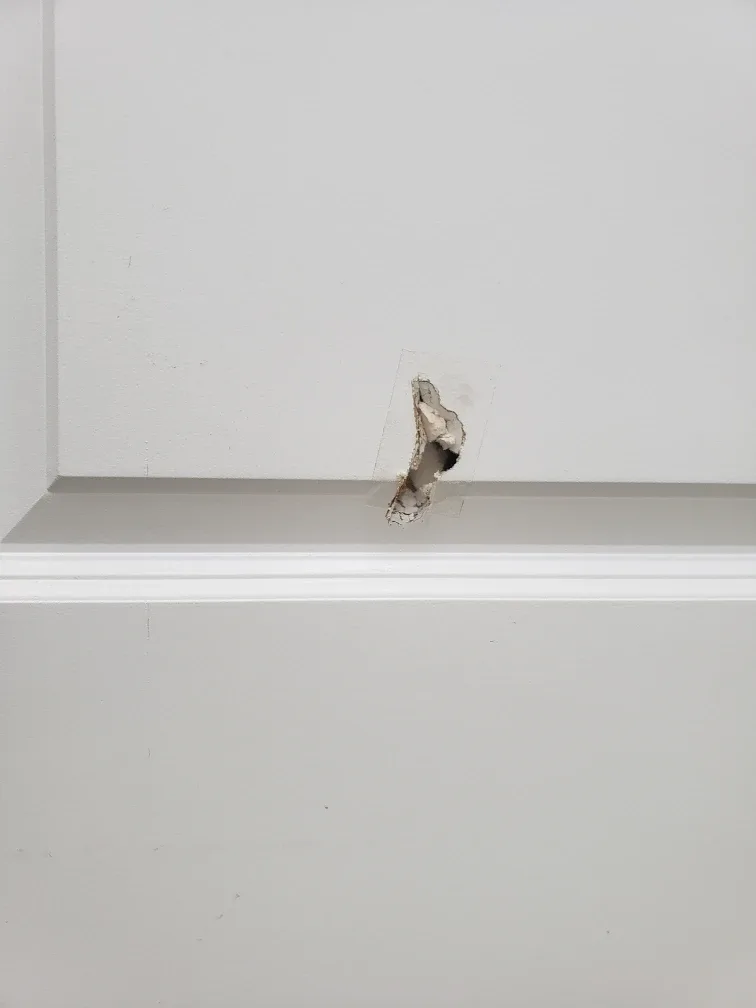 White Interior Door image indicator(4)