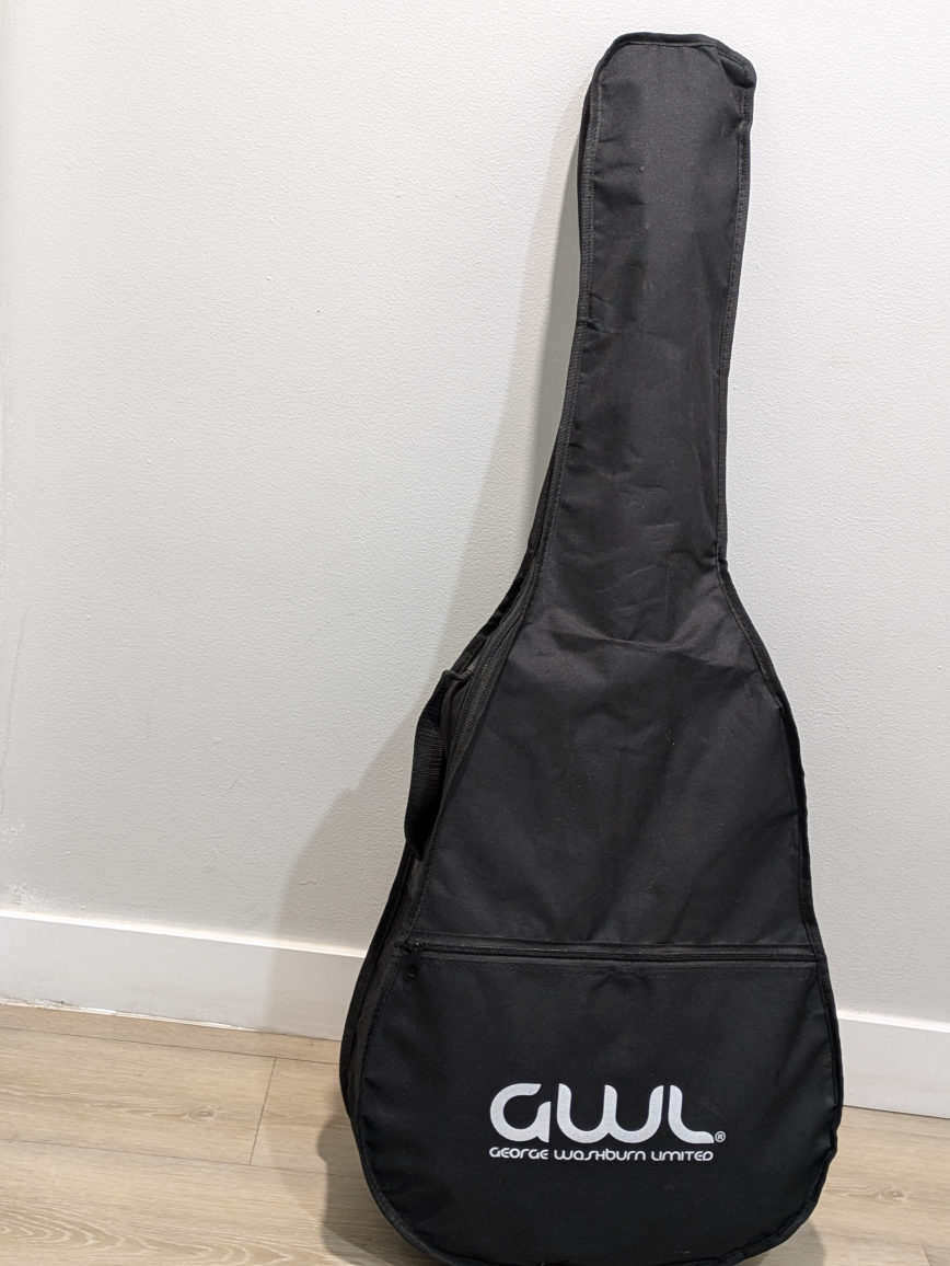GWL Guitar (George washburn limited) - photo 5