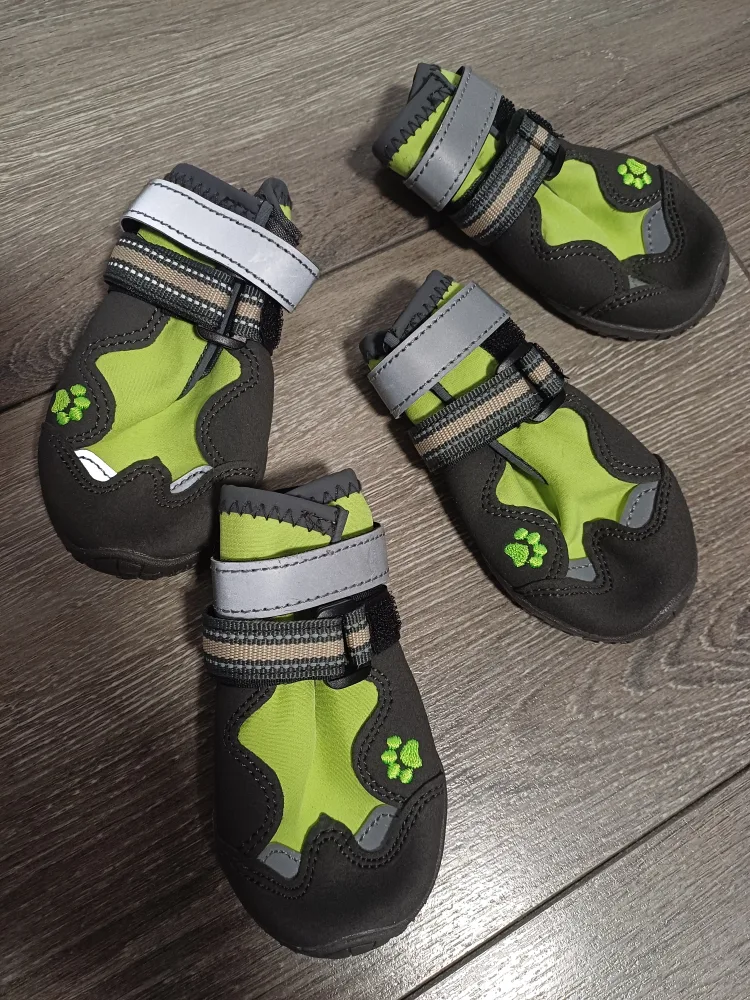 New Dog Boots - Size 4 fits small-medium doggie image indicator(7)