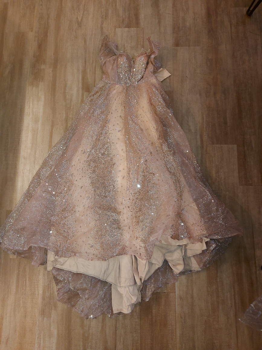 Blush Pink Ball Gown - photo 2