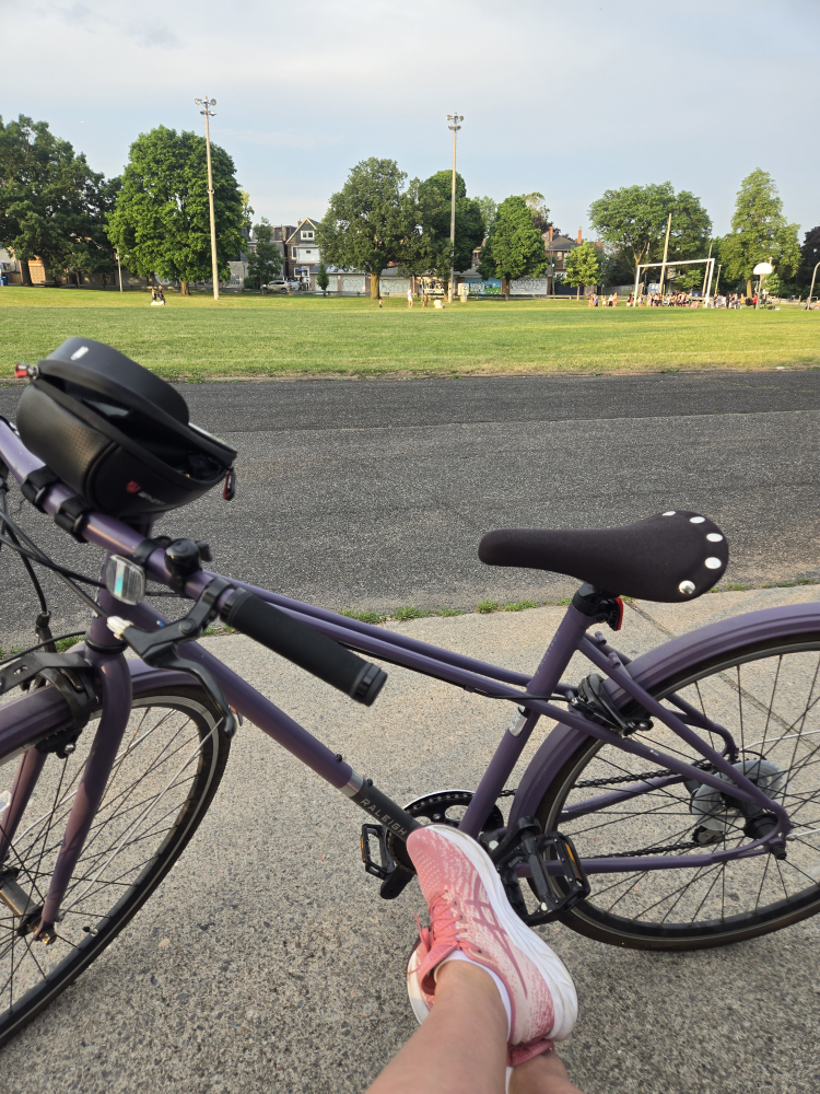 Raleigh Bikes purple bicycle